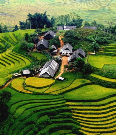 Vì cuộc đời là những chuyến đi - Cẩm nang du lịch Hải Phòng