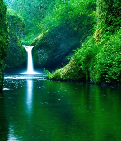 Vì cuộc đời là những chuyến đi - Cẩm nang du lịch Hải Phòng