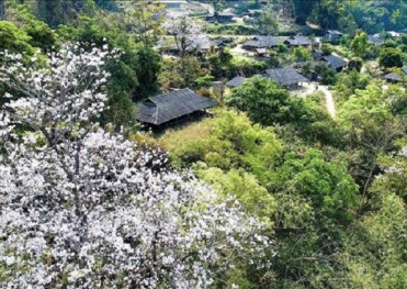 Tour Địa Đạo Củ Chi – Sông Mê Kong – Tòa Thánh Tây Ninh – Núi Bà Đen 4 Ngày 3 Đêm