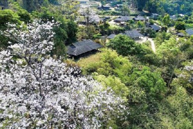 Tour Địa Đạo Củ Chi – Sông Mê Kong – Tòa Thánh Tây Ninh – Núi Bà Đen 4 Ngày 3 Đêm